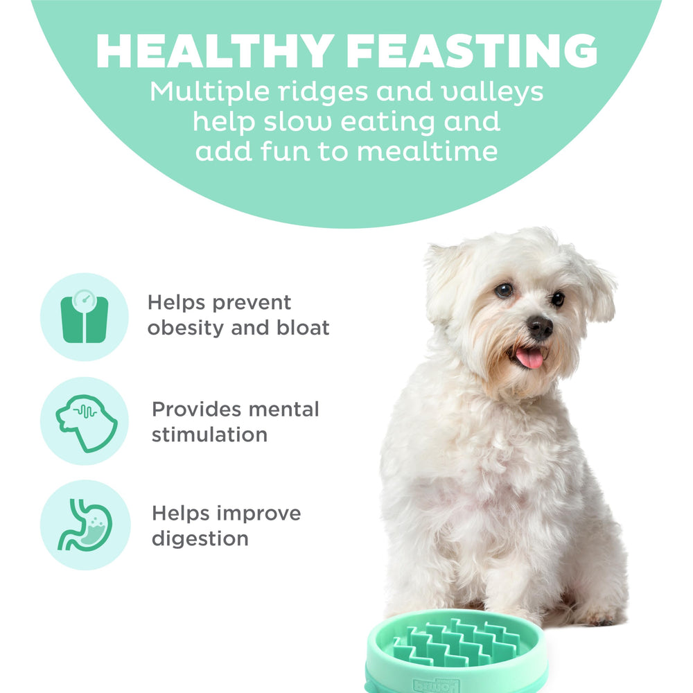 Outward Hound Fun Feeder Slo Bowl capacidad 3/4 tazas, ideal para razas pequeñas