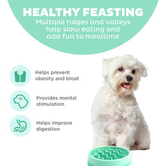 Outward Hound Fun Feeder Slo Bowl capacidad 3/4 tazas, ideal para razas pequeñas