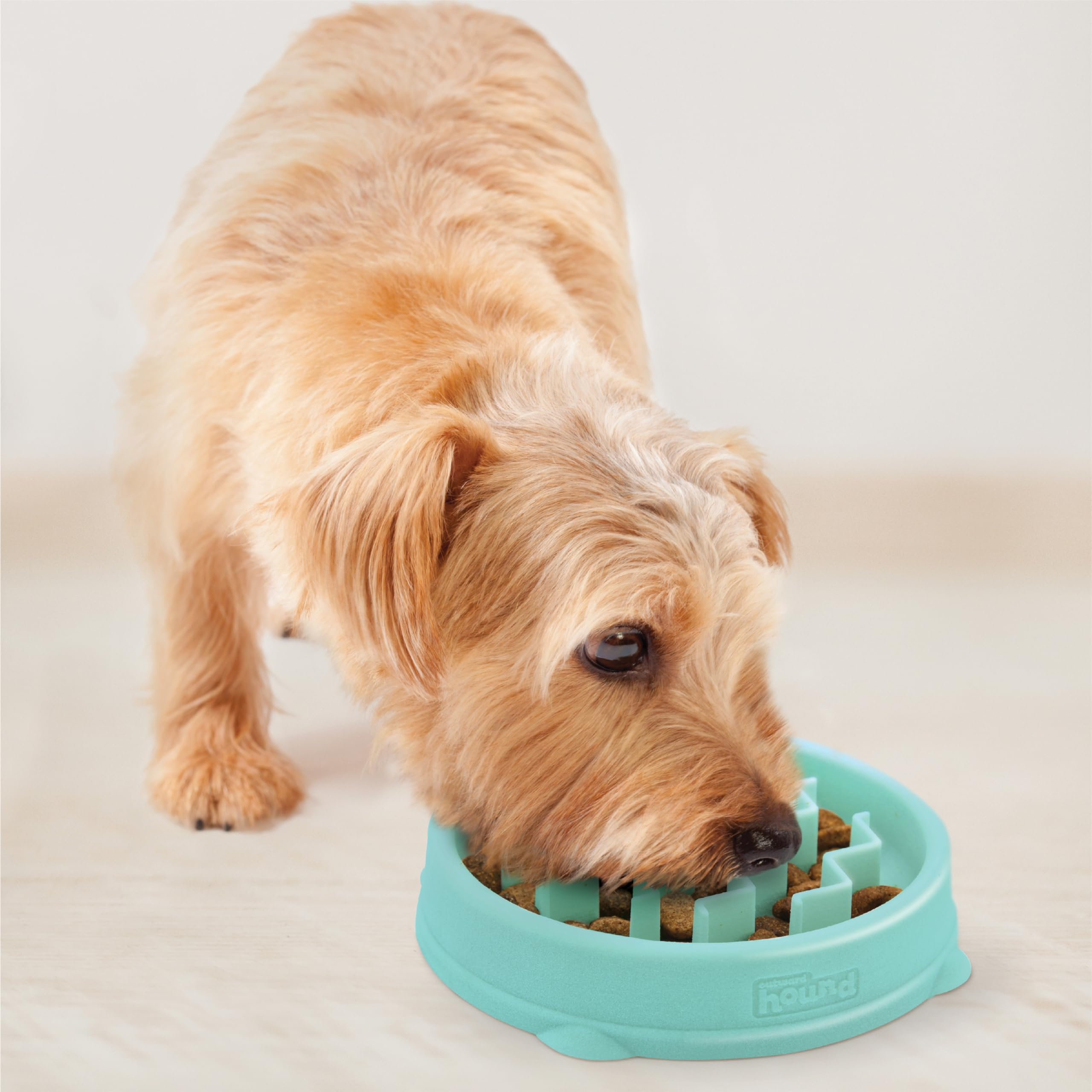 Outward Hound Fun Feeder Slo Bowl tamaño pequeño, perfecto para perros pequeños