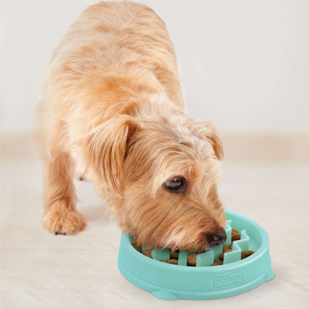 Outward Hound Fun Feeder Slo Bowl tamaño pequeño, perfecto para perros pequeños