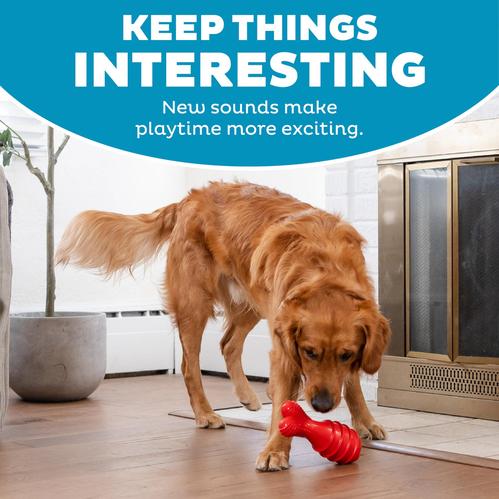 Outward Hound Grunt Fetch Stick juego interactivo: mantiene a tu perro activo