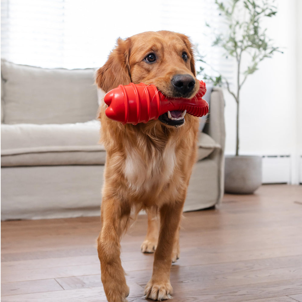 Outward Hound Grunt Fetch Stick lavado manual: fácil limpieza y cuidado