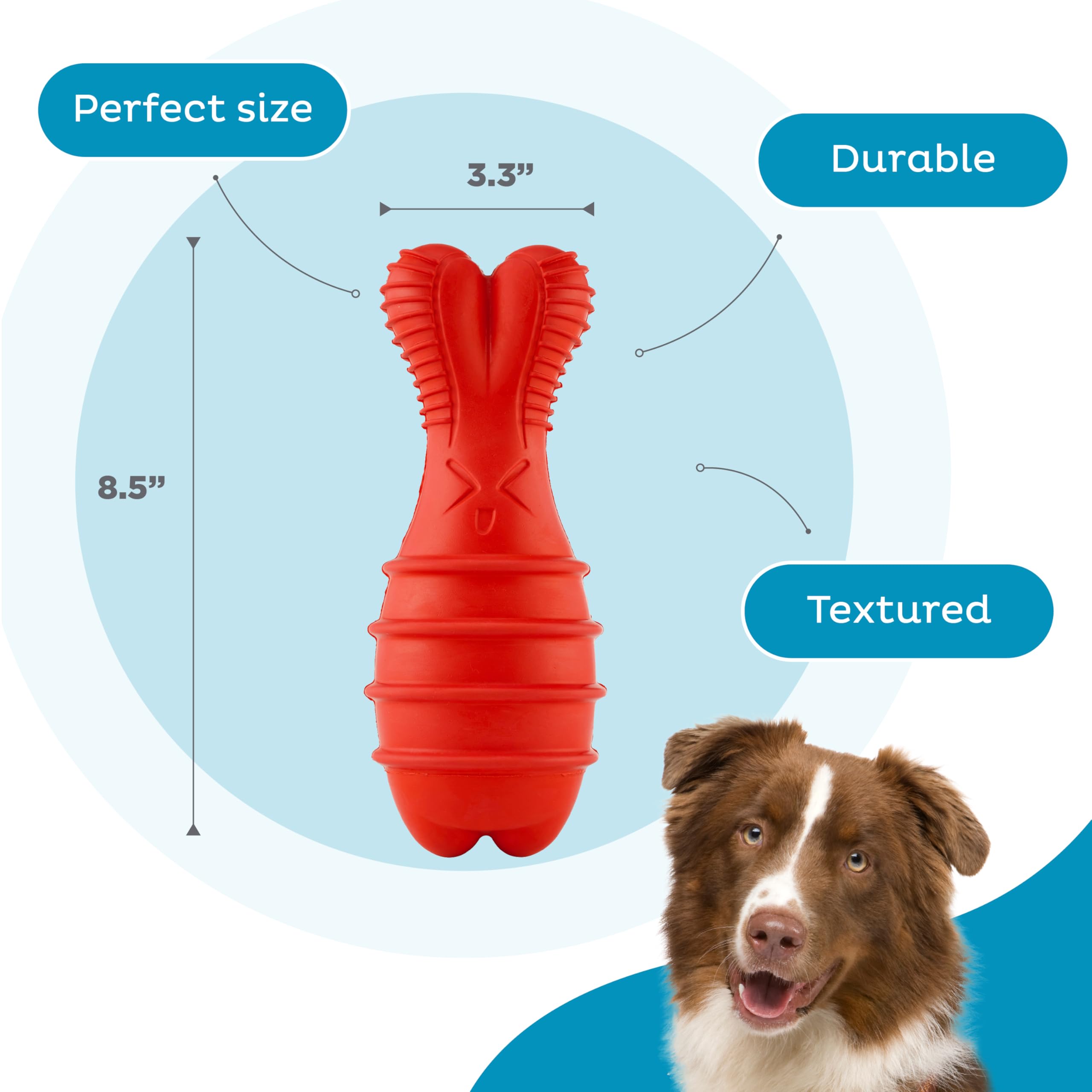 Outward Hound Grunt Fetch Stick palo largo: perfecto para lanzar y perseguir