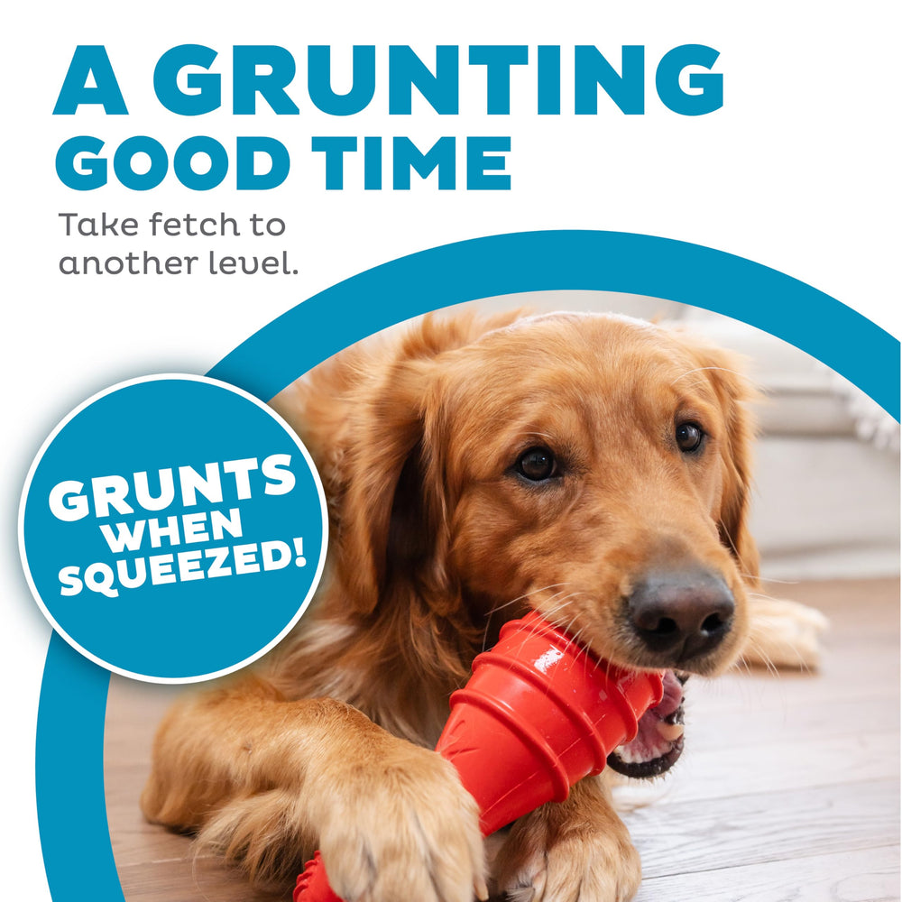 Outward Hound Grunt Fetch Stick sonido gruñido: estimulación mental durante el juego