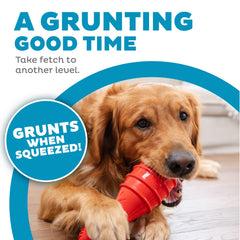 Outward Hound Grunt Fetch Stick sonido gruñido: estimulación mental durante el juego