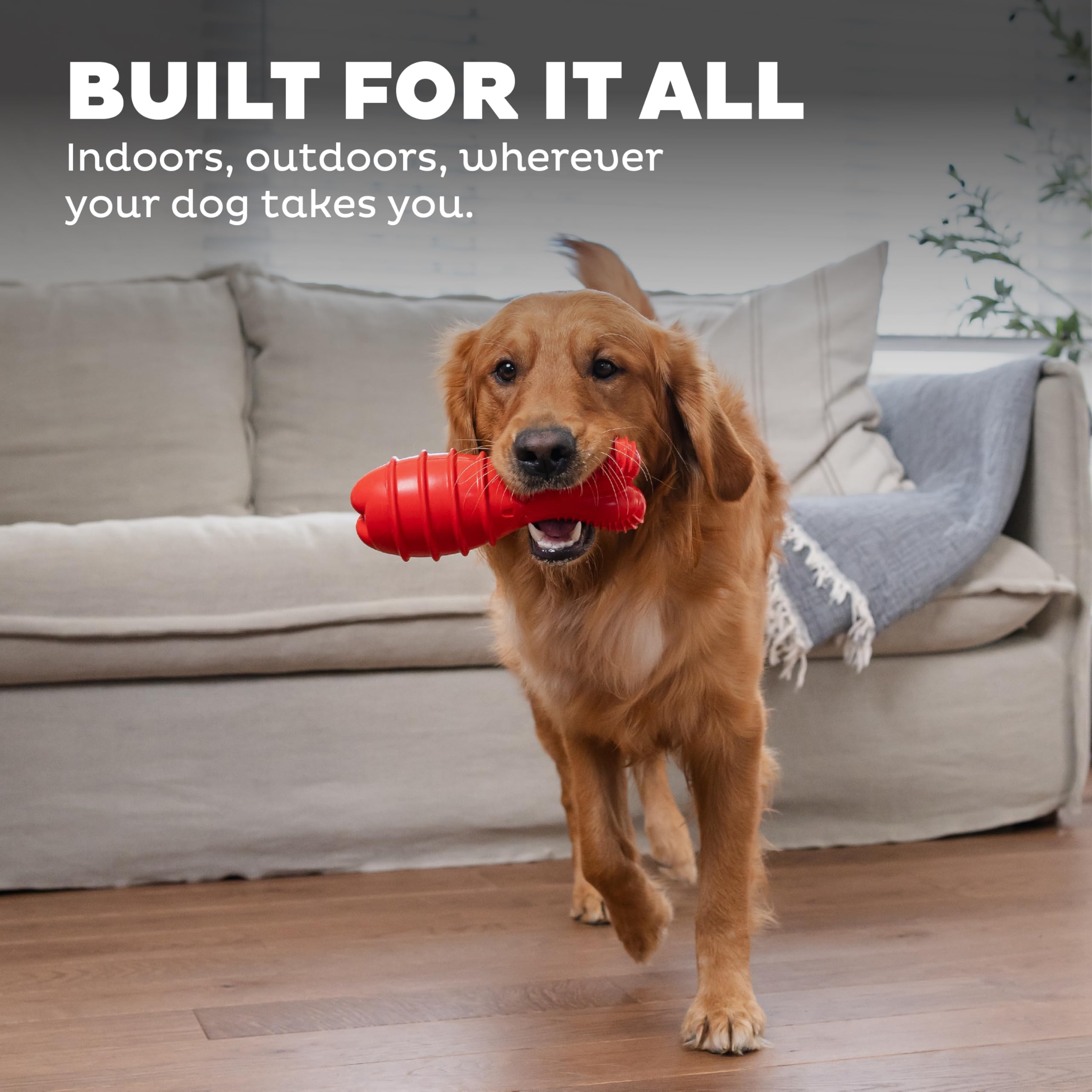 Outward Hound Grunt Fetch Stick uso interior y exterior: juego versátil