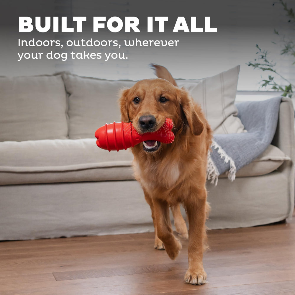 Outward Hound Grunt Fetch Stick uso interior y exterior: juego versátil