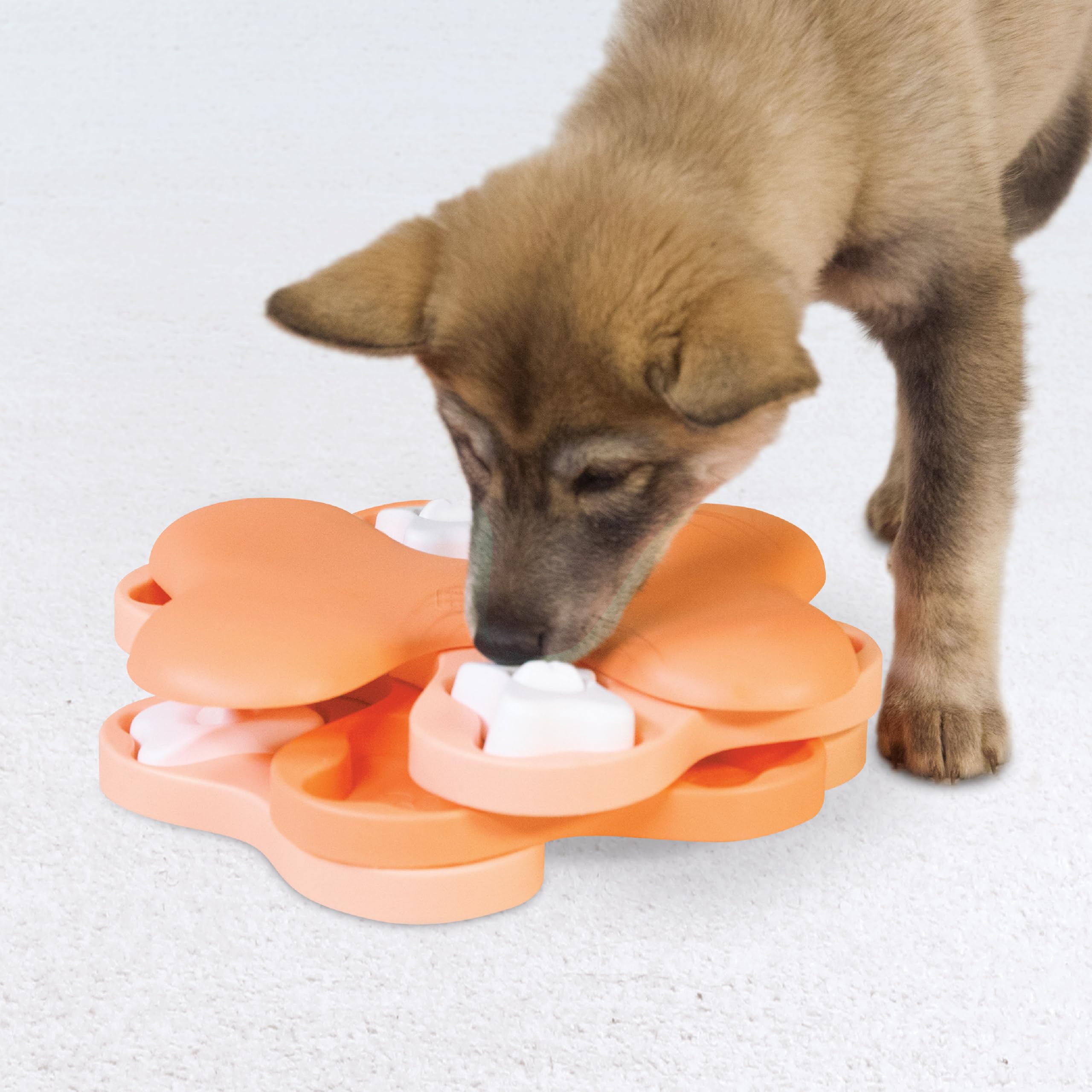 Nina Ottosson Puppy Tornado, nivel 2 intermedio para mente activa