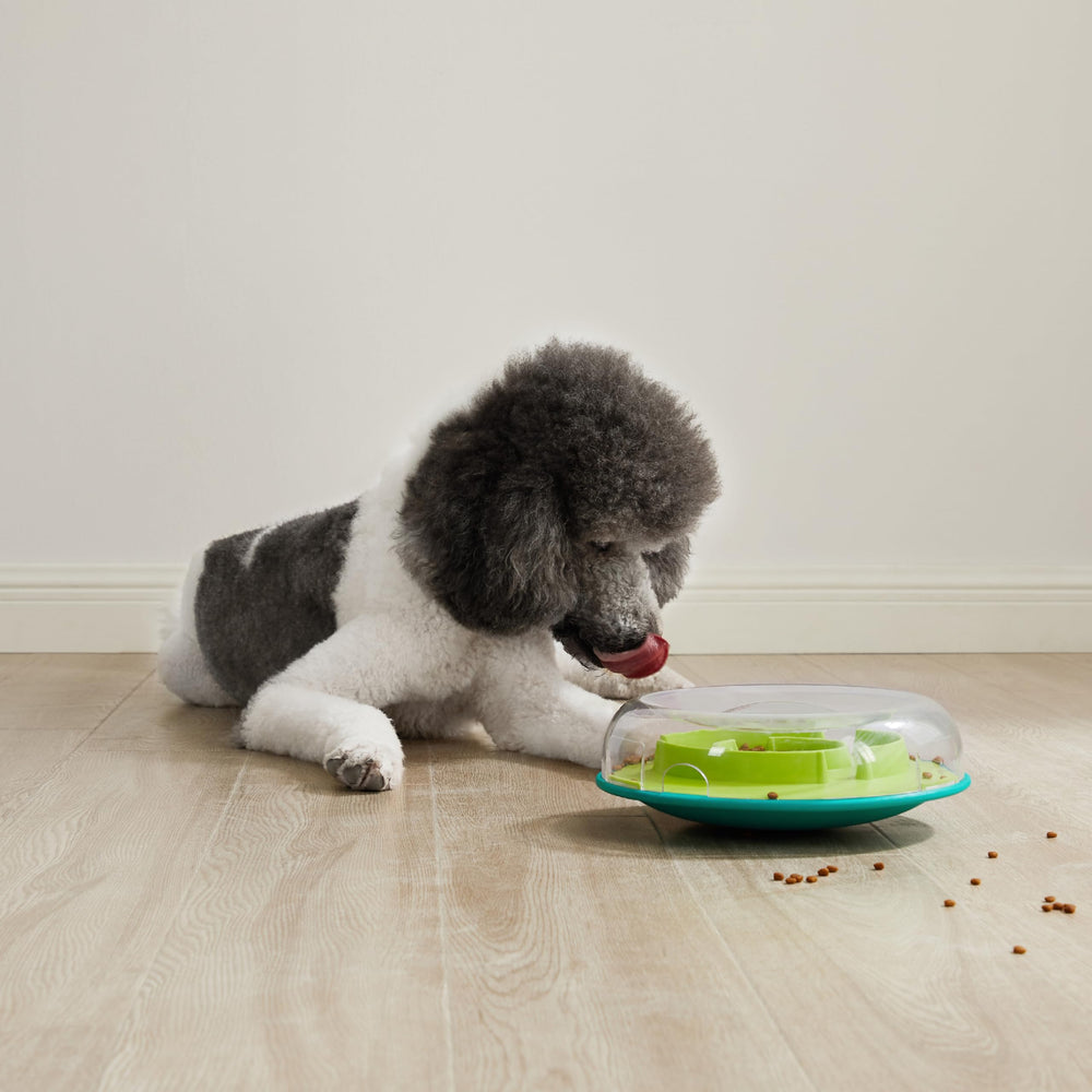 Outward Hound Wobble Bowl colores multicolor para estimular la curiosidad