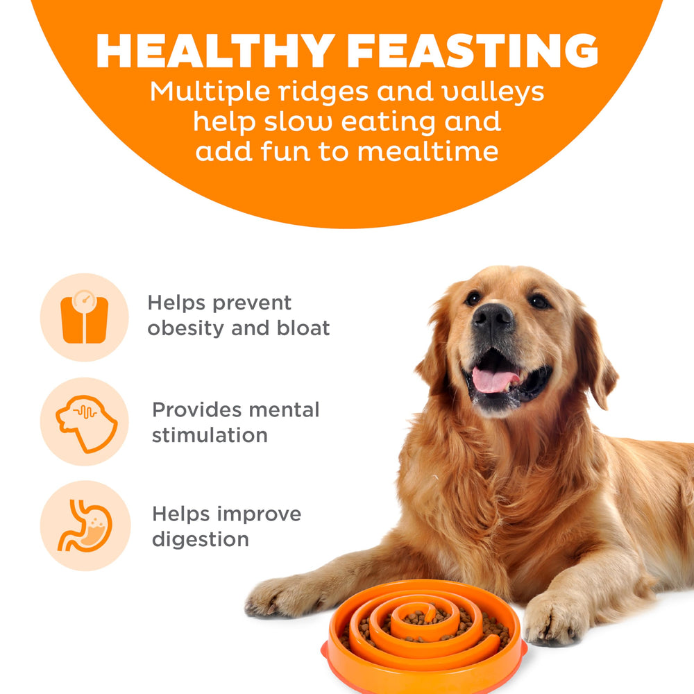 Outward Hound Fun Feeder Slo Bowl con diseño laberinto que estimula la atención