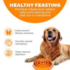 Outward Hound Fun Feeder Slo Bowl con diseño laberinto que estimula la atención