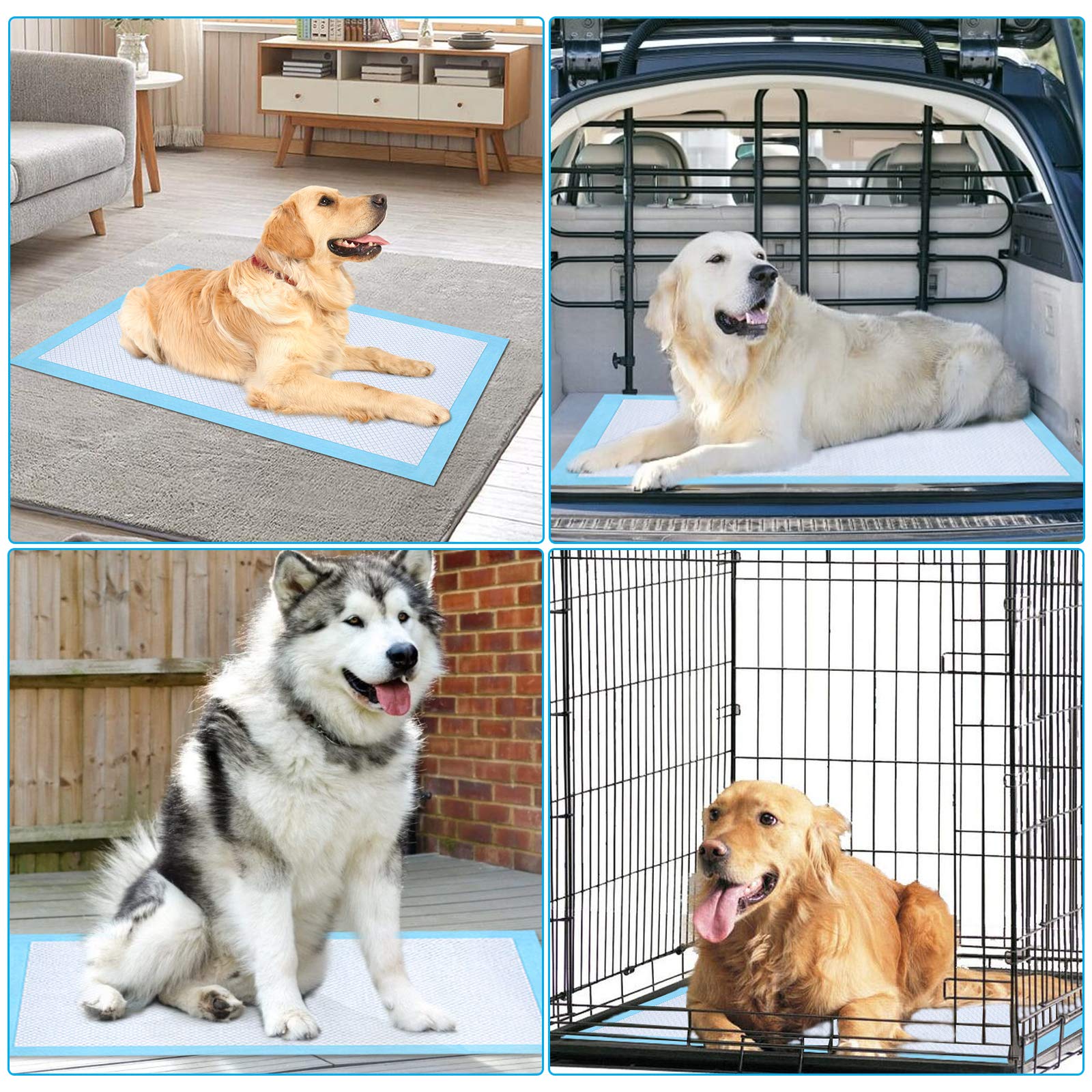 Ownpets pad entrenamiento XL con proteccion contra filtraciones para múltiples áreas del hogar.