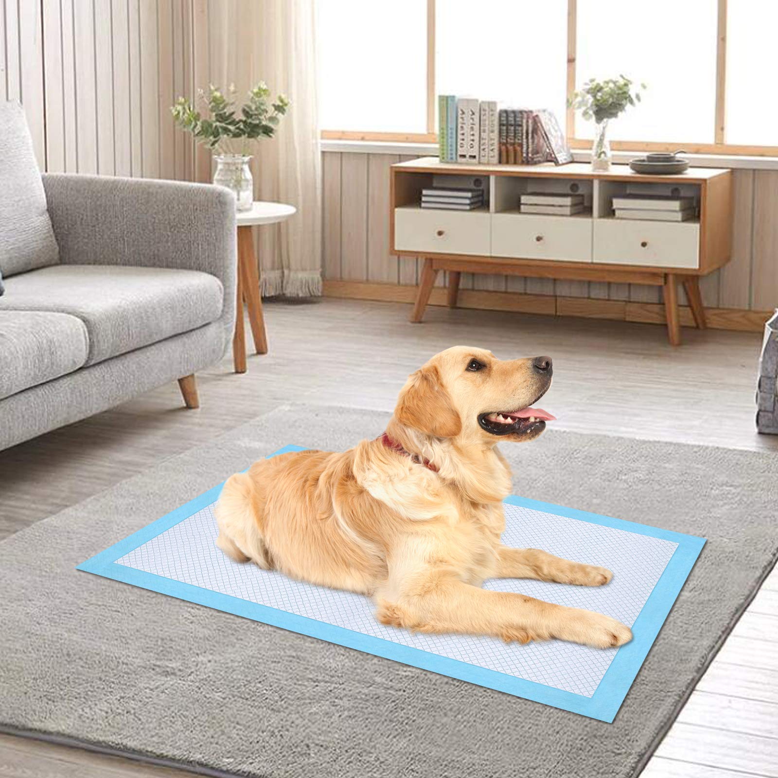 Ownpets pad entrenamiento XL absorbe humedad instantáneamente y evita goteos en suelos.