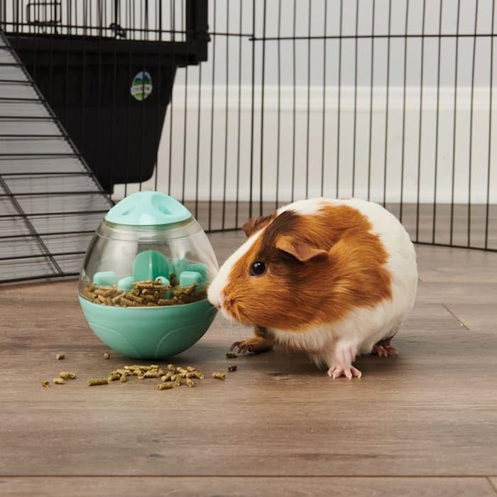 Oxbow Enriched Life Wobble Teaser, conejo-de-indias usando: entretenimiento durante la comida
