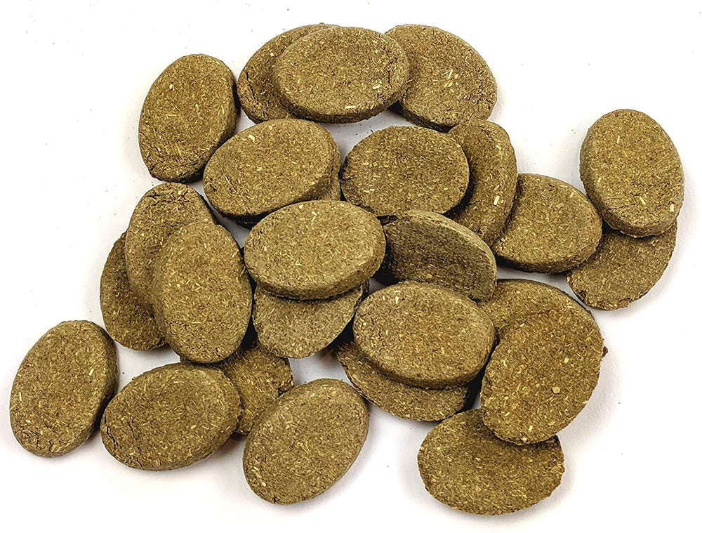 Mascota pequeña consumiendo galletas Oxbow, uso diario para apoyar la salud urinaria