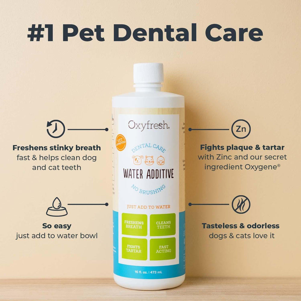 Cuidado dental para perros y gatos con Oxyfresh en el agua para mejor aliento.
