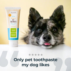 Gel dental de Oxyfresh con cepillo para facilitar el cepillado de dientes.