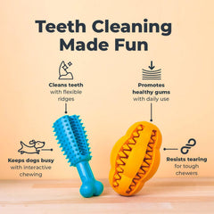 Oxyfresh Juguete dental para perro, limpieza de dientes durante mordisqueo