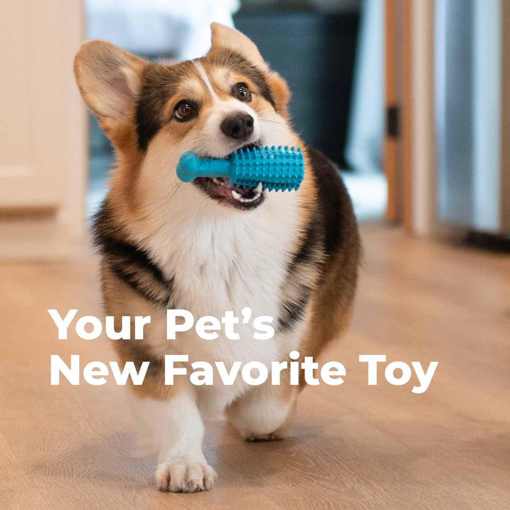 Oxyfresh Juguete dental para perro, masaje de encías al masticar