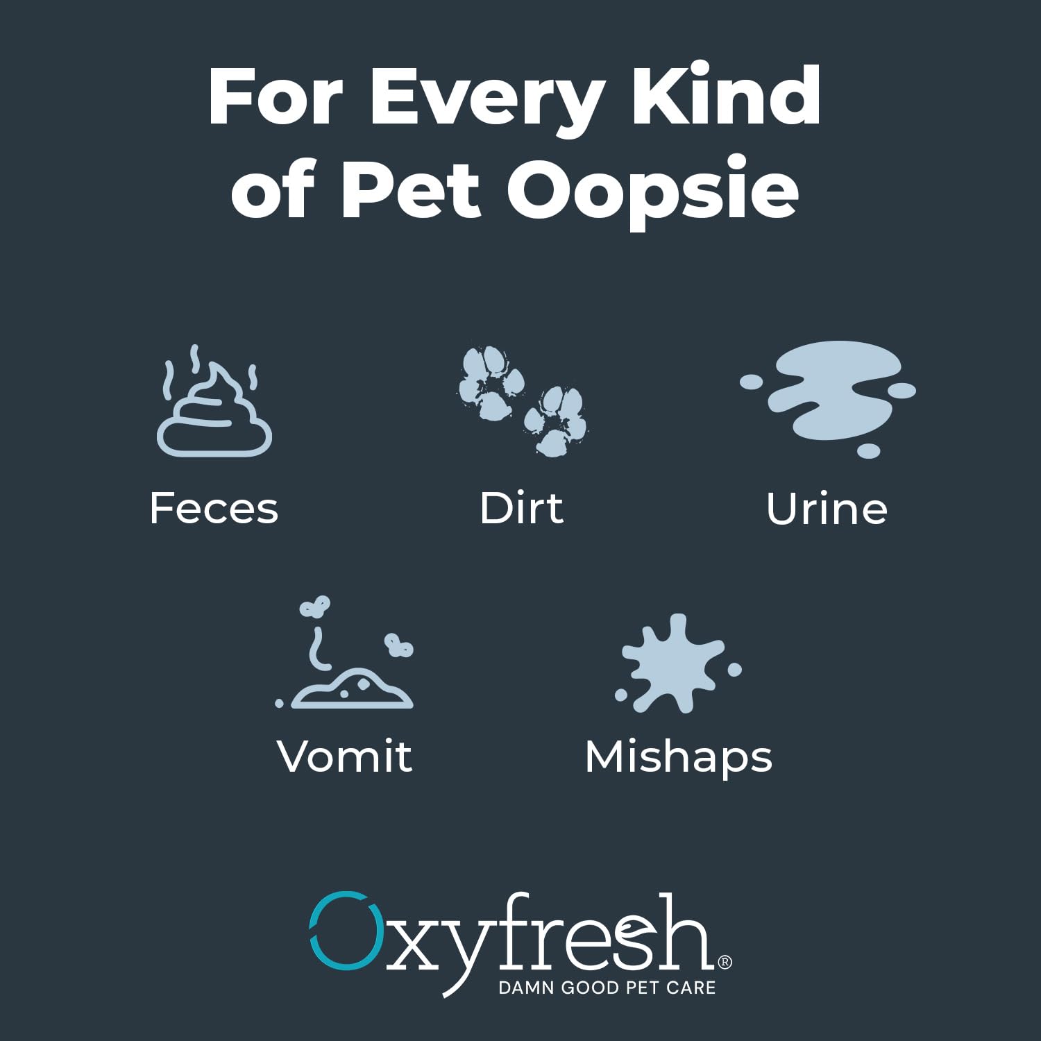 Uso versátil de Oxyfresh en alfombras, muebles y ropa de cama.
