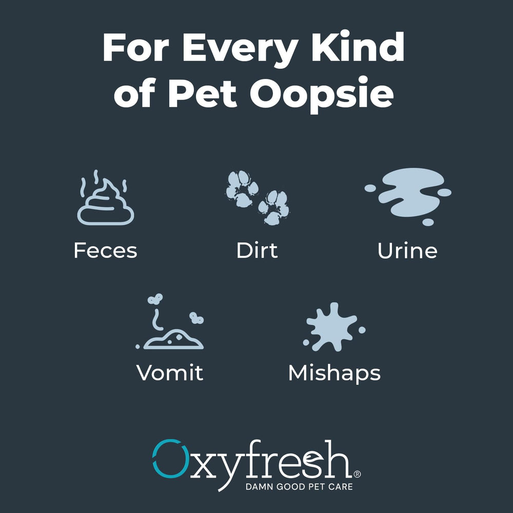 Uso versátil de Oxyfresh en alfombras, muebles y ropa de cama.