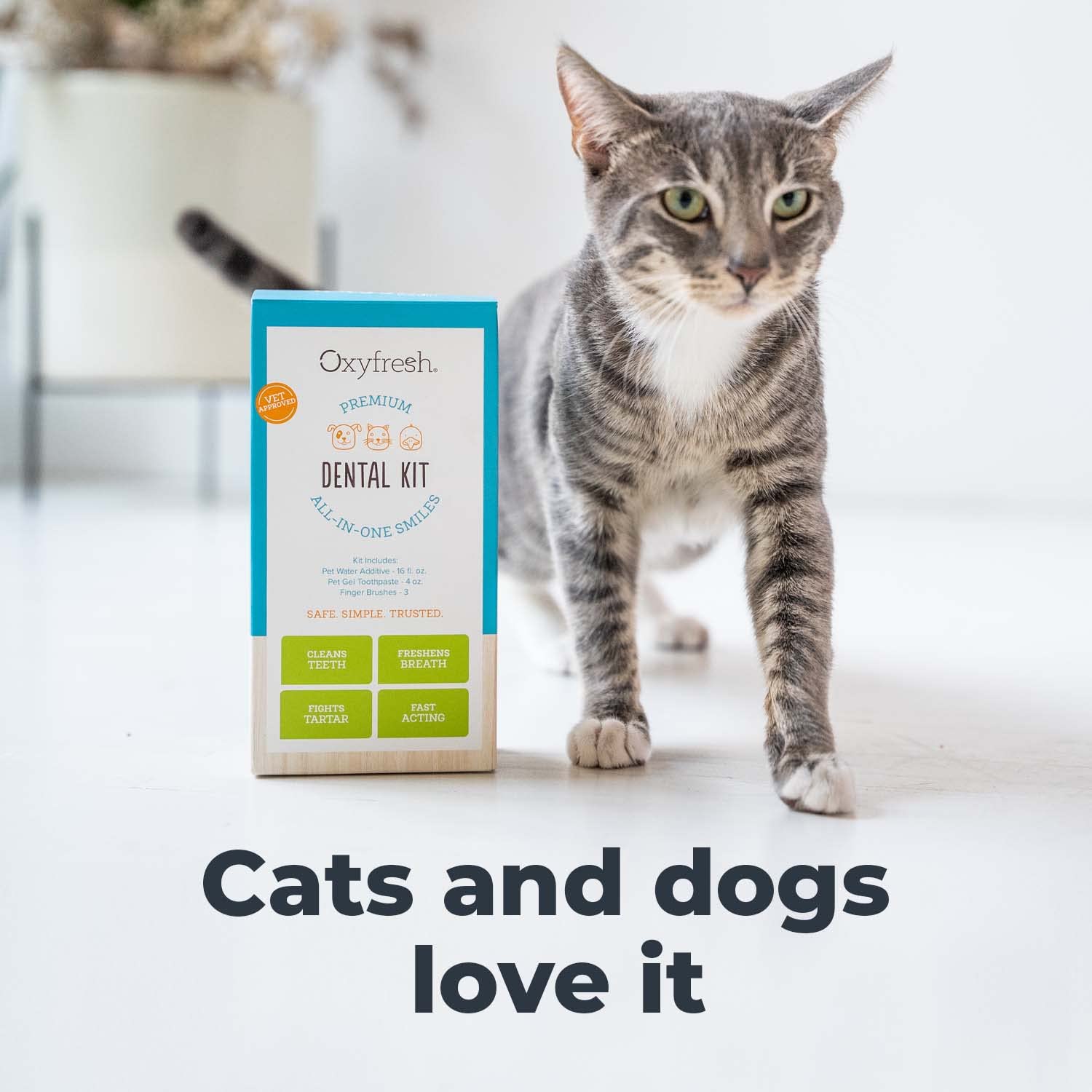 Apto para perros y gatos de todas las edades con Oxyfresh.