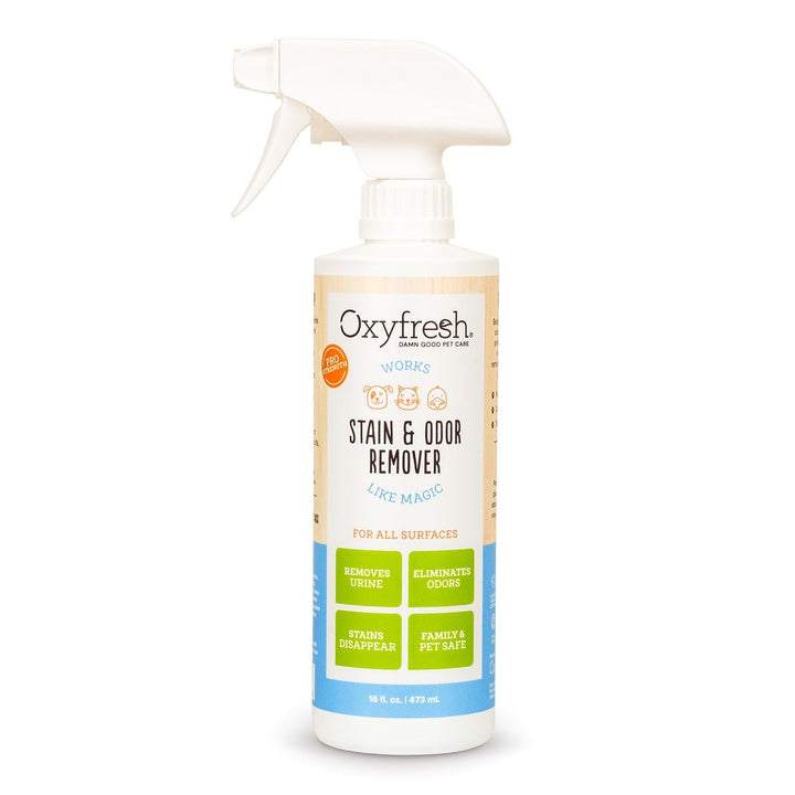 Oxyfresh spray eliminador de manchas en alfombras, acción rápida para resultados visibles.