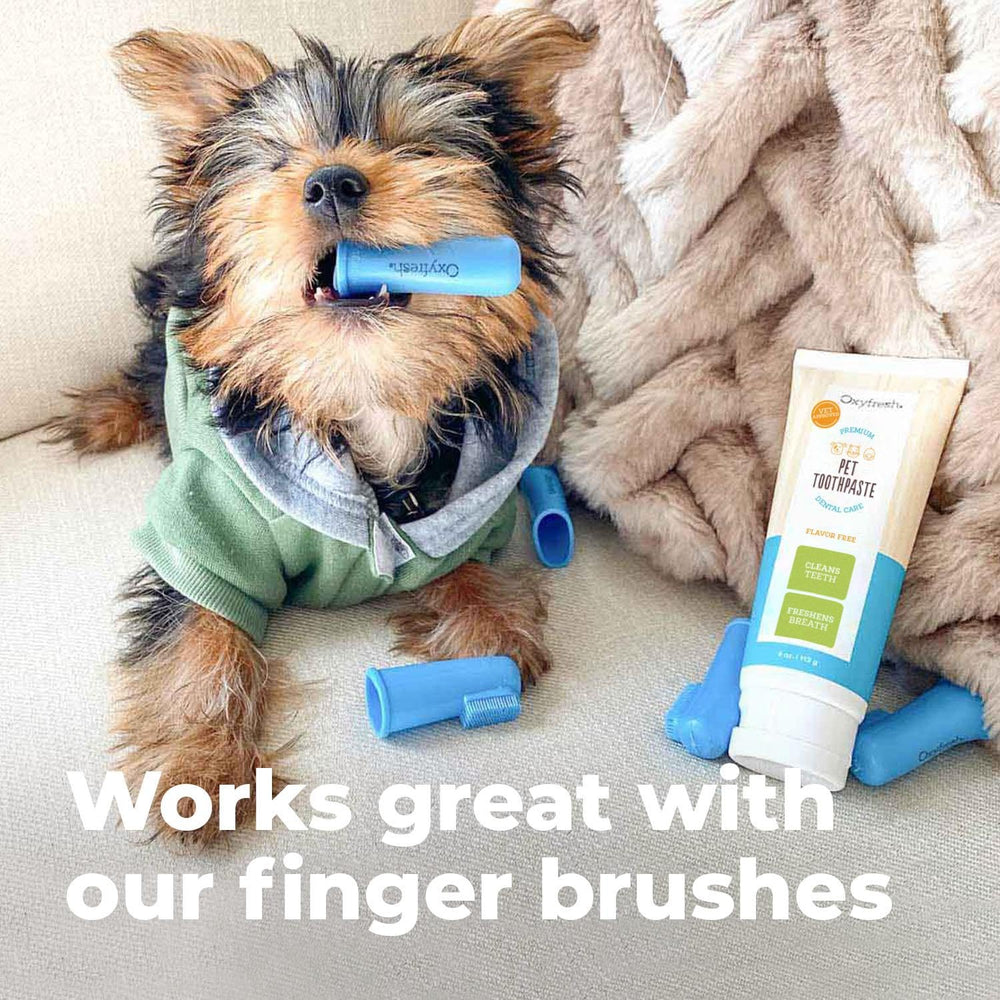 Cuidado bucal diario de Oxyfresh para gatos y perros.