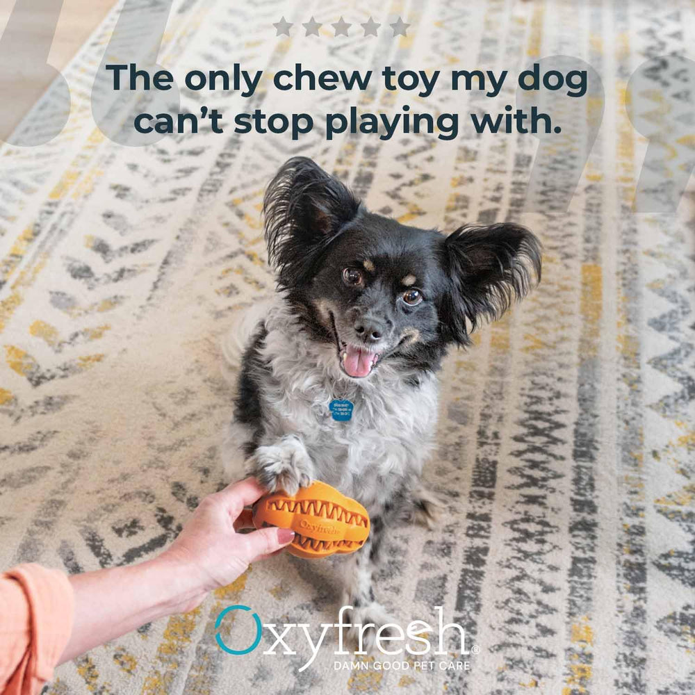 Oxyfresh uso diario con el juguete dental para perro