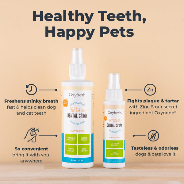 Aplicación en ambos lados de la boca de una mascota con Oxyfresh.