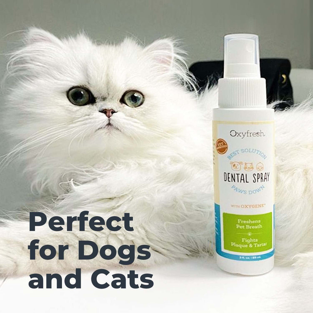 Oxyfresh recomendado por dueños y veterinarios para higiene dental diaria.