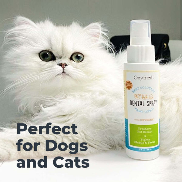 Oxyfresh recomendado por dueños y veterinarios para higiene dental diaria.
