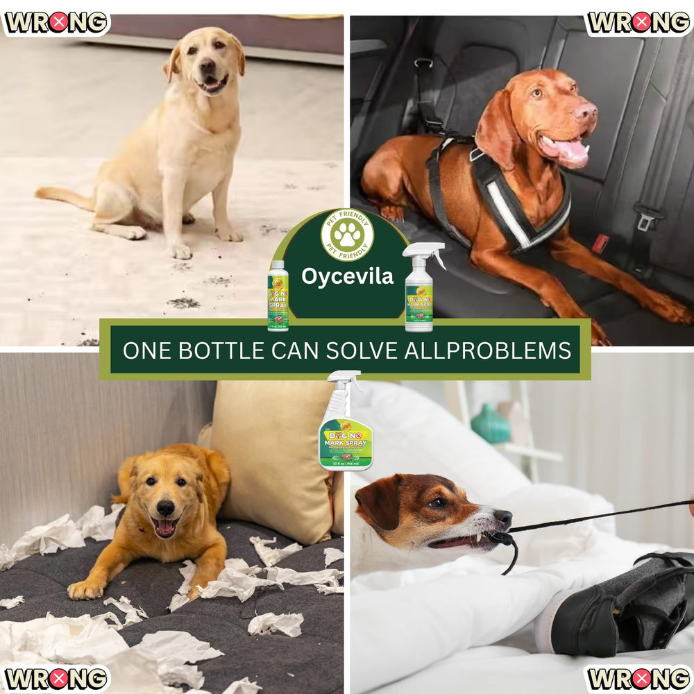 Oycevila cachorro evitando marcaje en interiores, útil para delimitar zonas permitidas.