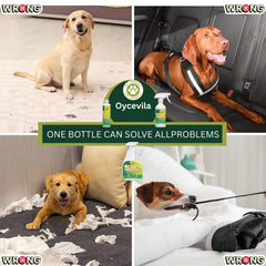 Oycevila cachorro evitando marcaje en interiores, útil para delimitar zonas permitidas.
