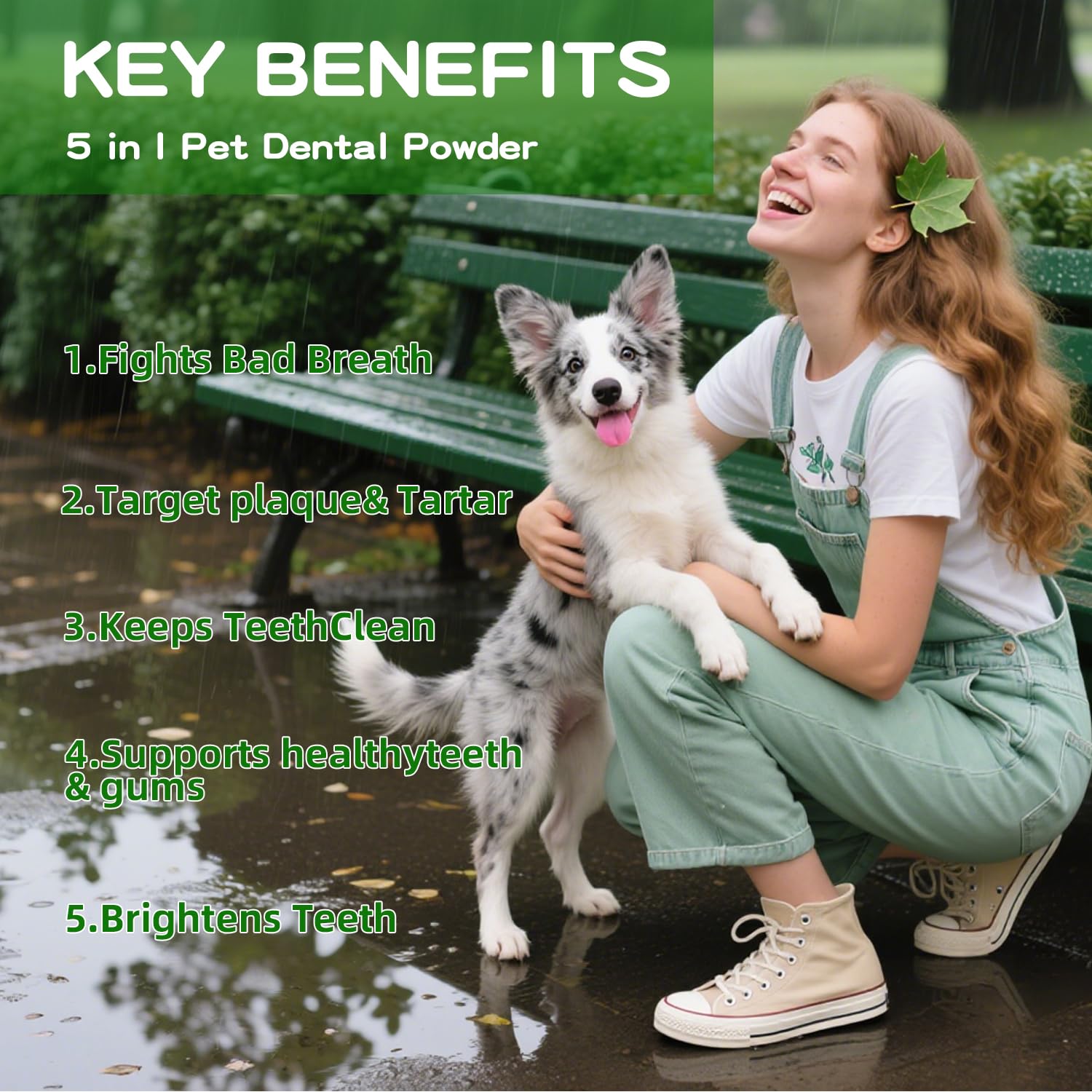 OZOXOO calidad y confianza, polvo dental seguro para perros.