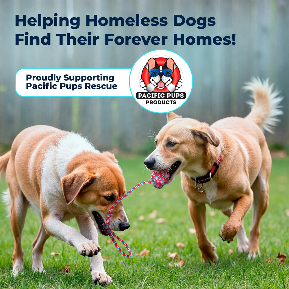 Pacific Pups Juguetes para perros medianos, variedad para encontrar su favorito.