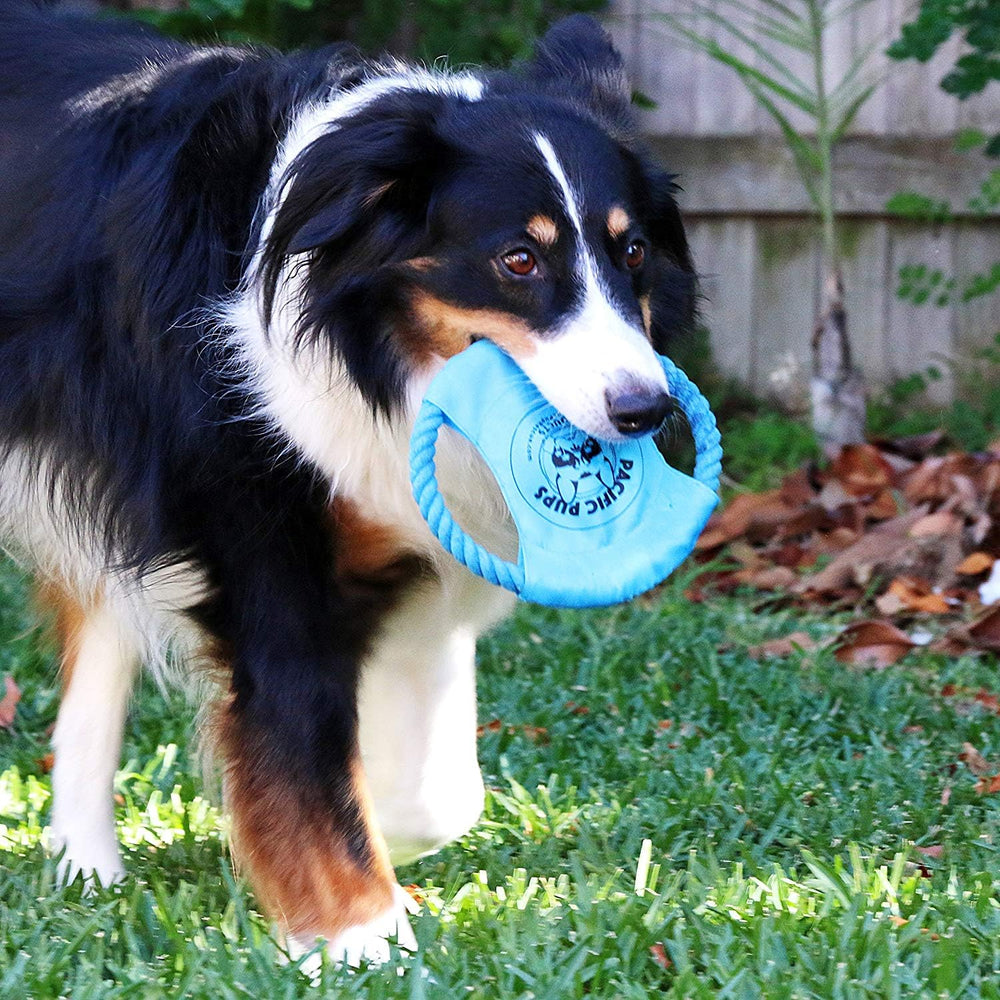 Pacific Pups Products, juguete de cuerda educativo para mantener activo al perro.