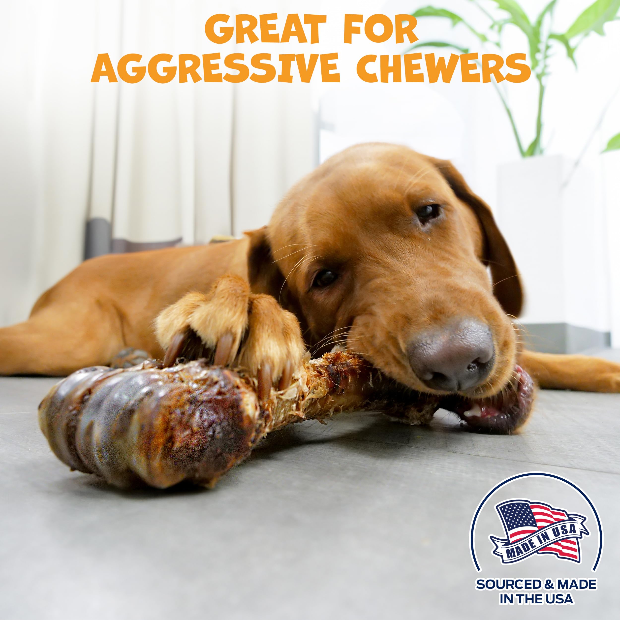 Pack Approved Recubrimiento de hígado sobre hueso, sabor atractivo para masticadores exigentes.