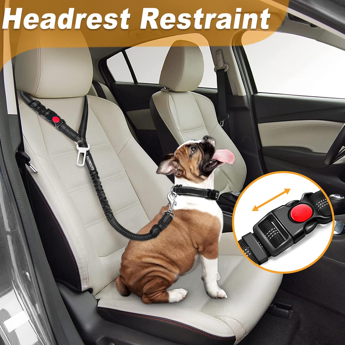 Paercute enganche 360° para perro evita enredos y permite movimiento seguro.