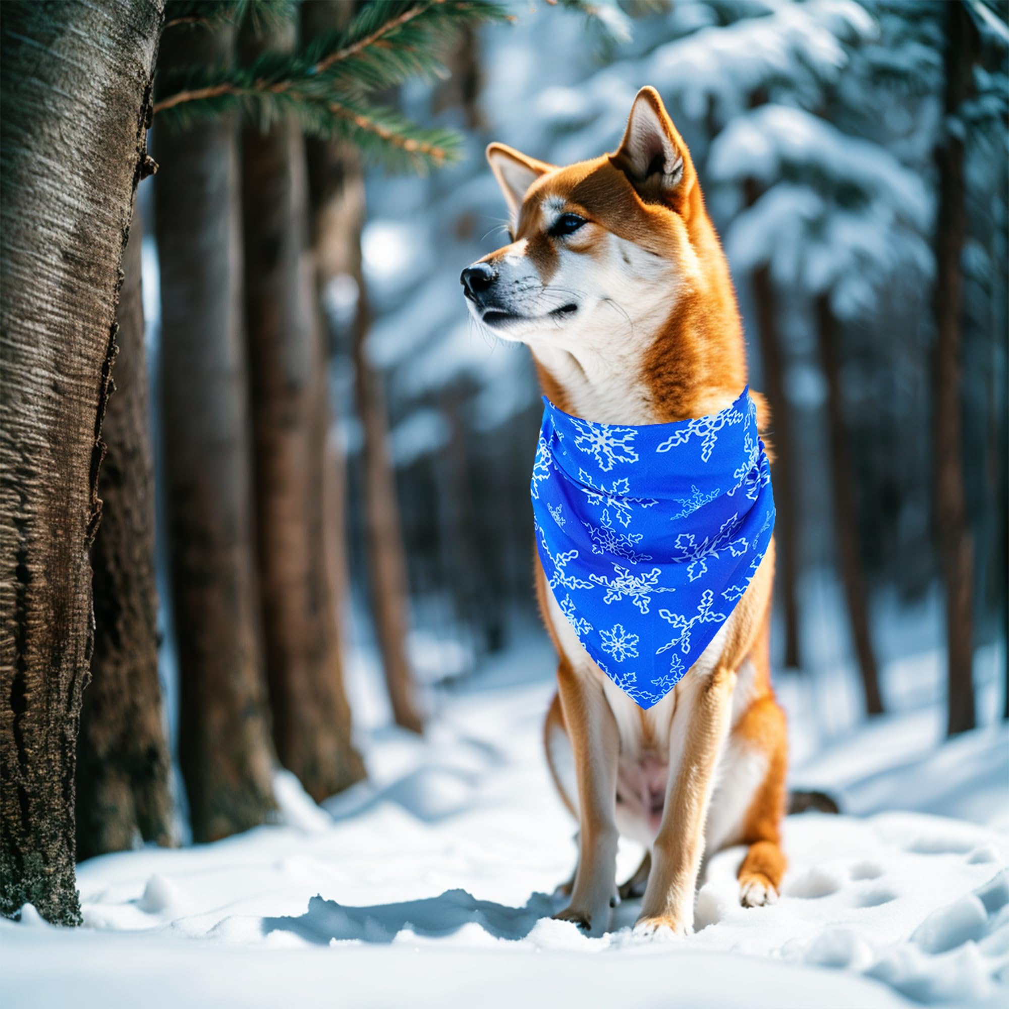 Pai Sence bandanas con copos de nieve para perro mediano, estilo navideño