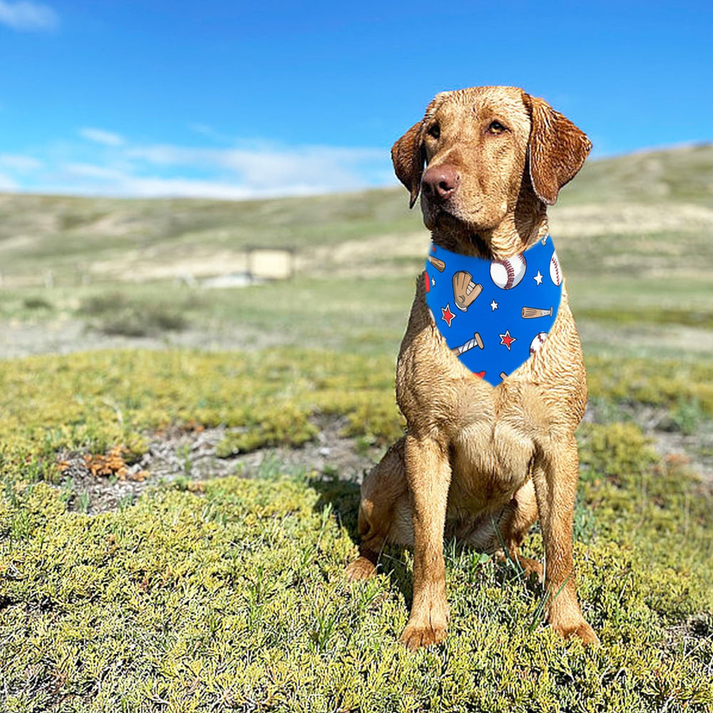Bandana Pai Sence absorbe babas, práctica para salidas y juego.