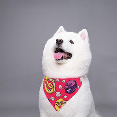 Bandana Pai Sence con colores diversos para look diario del perro.
