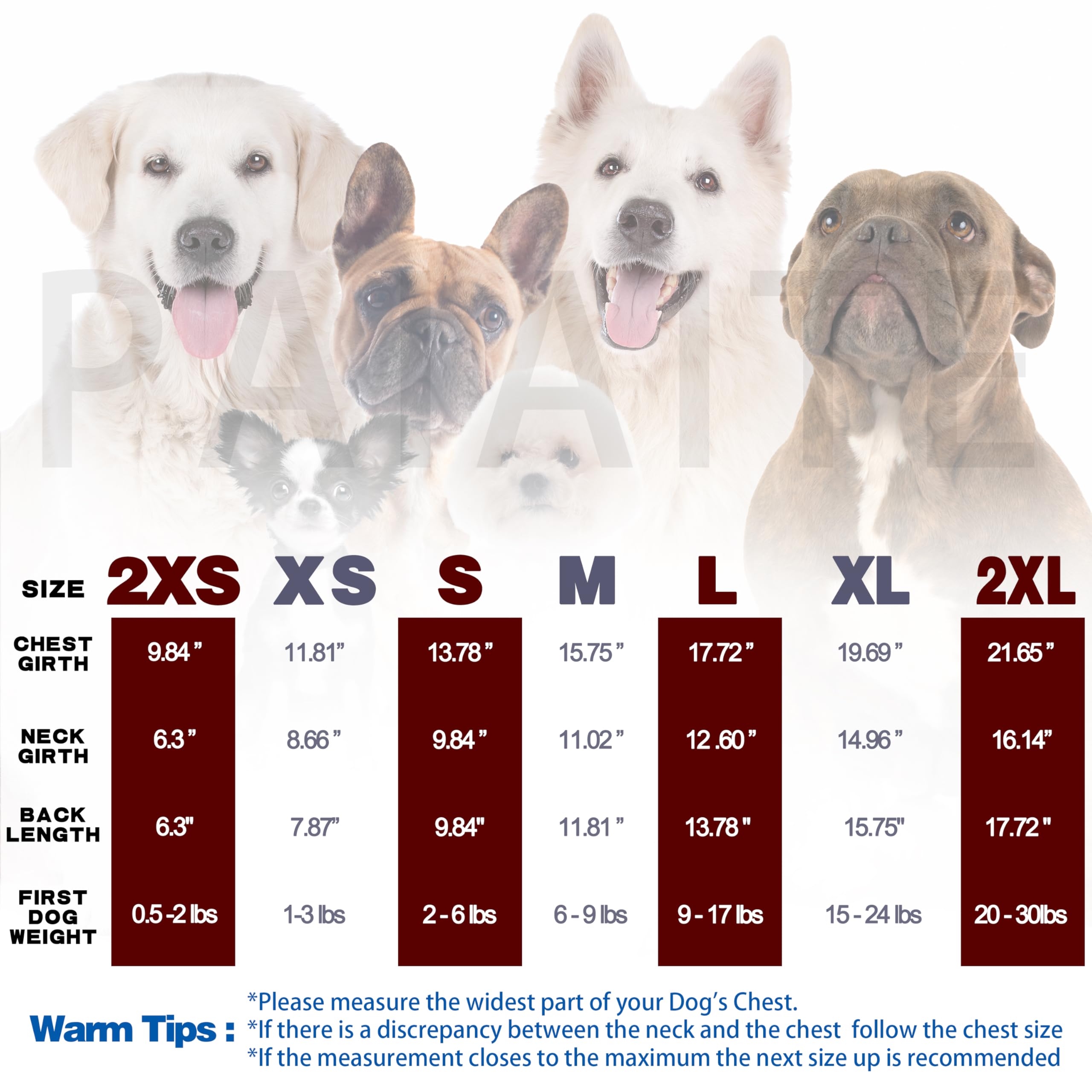 Paiaite camiseta para perro pequeño facil de vestir, ideal para perros nerviosos.