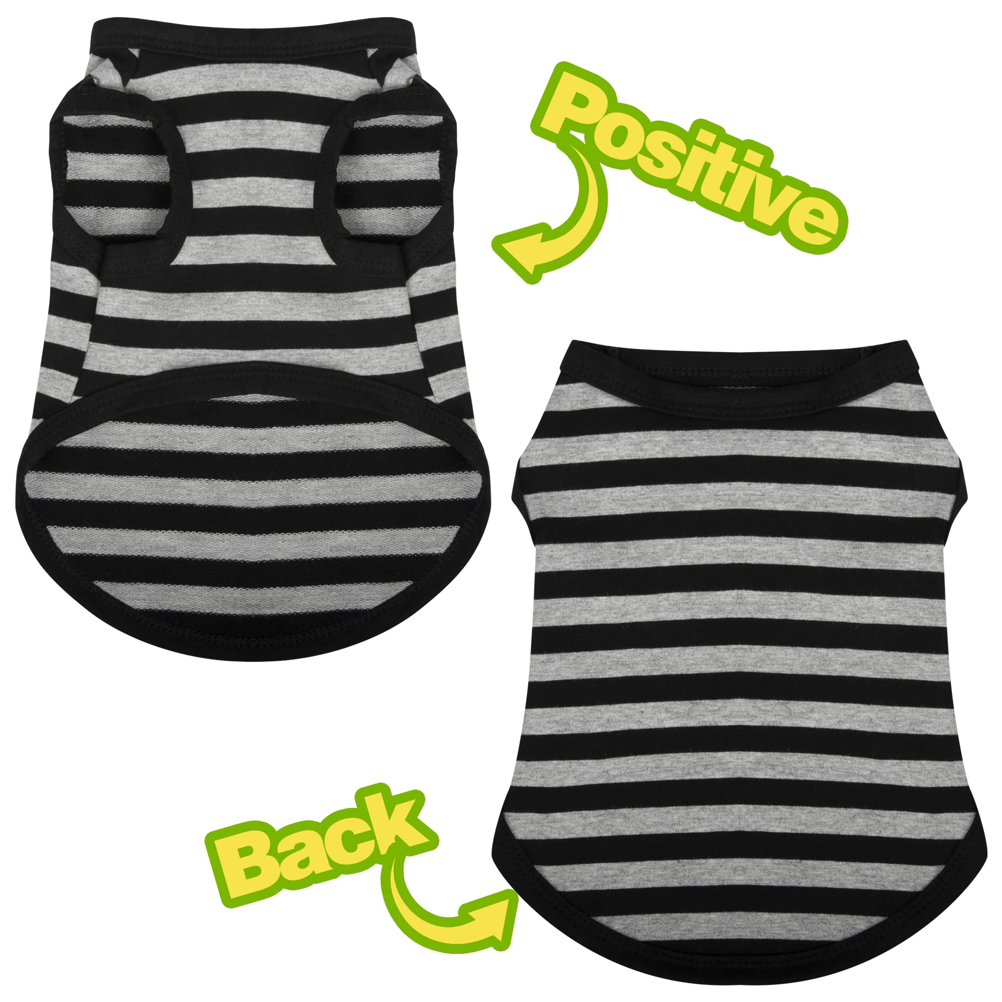 Paiaite look completo para perros, ideal para combinar con accesorios.