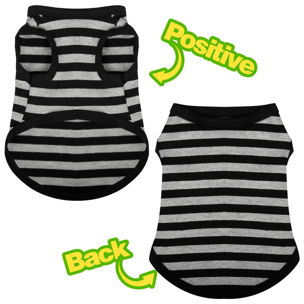 Paiaite look completo para perros, ideal para combinar con accesorios.