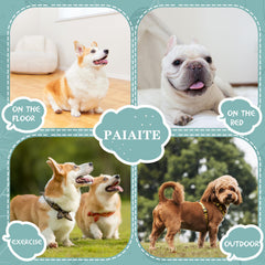 Camiseta Paiaite para perro pequeño, diseño sin mangas facilita ponérsela.