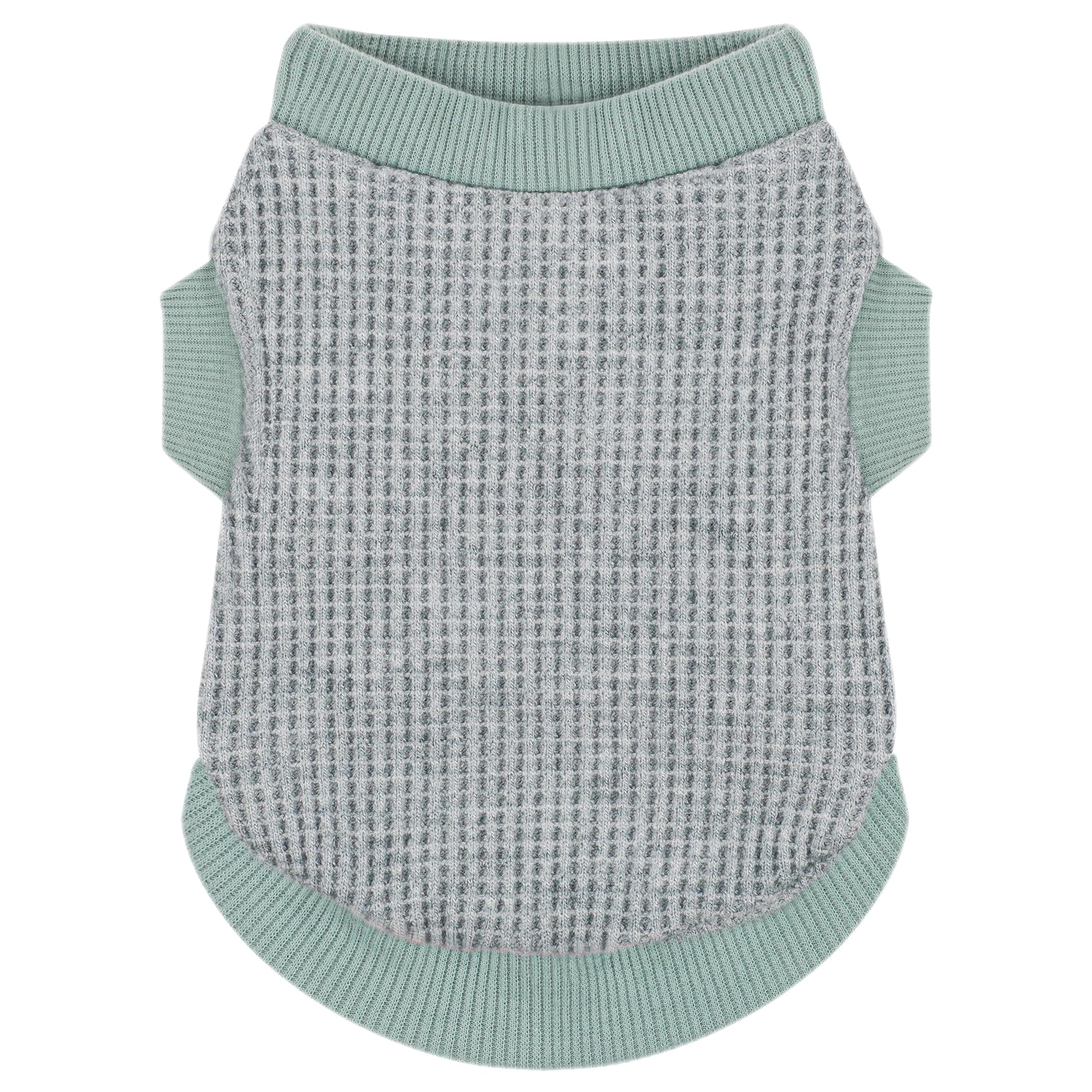 Camiseta Paiaite para perro pequeño verde, frente para uso diario.