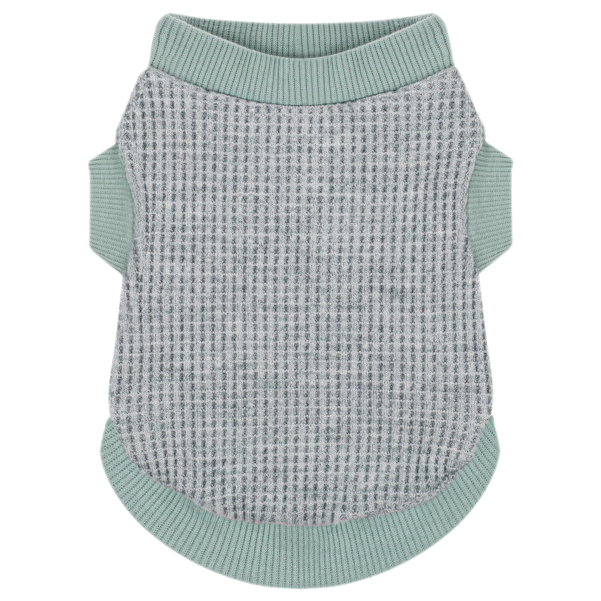 Camiseta Paiaite para perro pequeño verde, frente para uso diario.