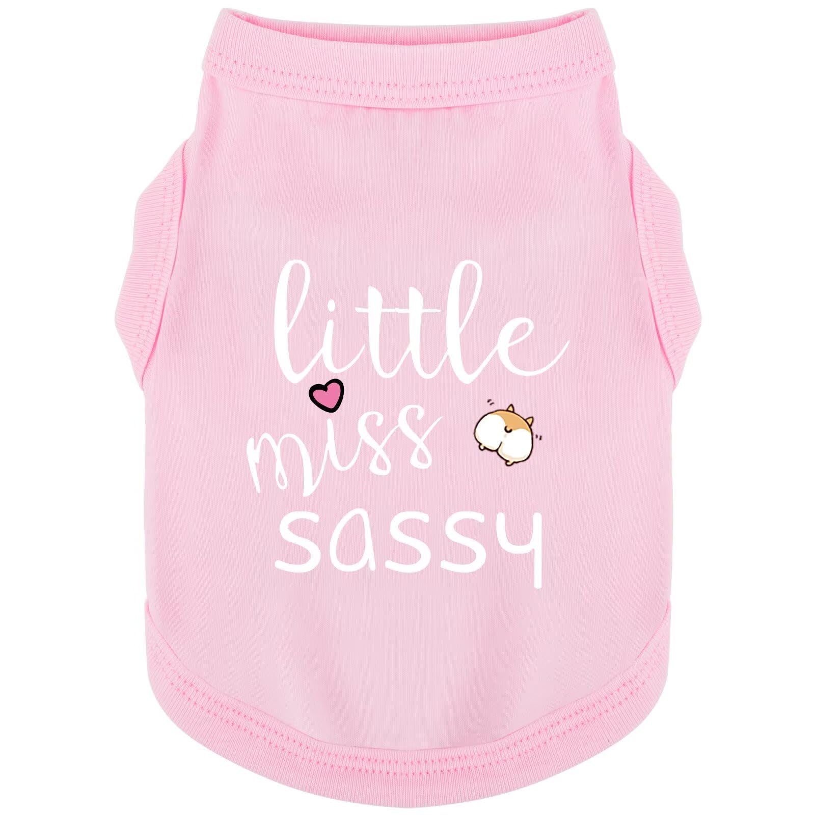 Paiaite camiseta para perro sin mangas con diseño de pequeña dama descarada, ideal para paseos.