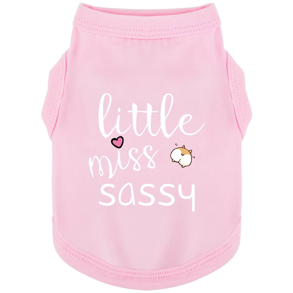 Paiaite camiseta para perro sin mangas con diseño de pequeña dama descarada, ideal para paseos.